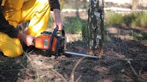 Lawn Irrigation Installation and Maintenance in Chase City, VA