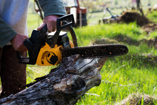 Lawn Watering Services in Chase City, VA